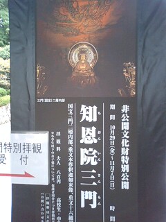 Photo_2